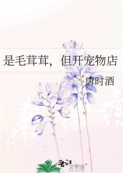 宠物店开毛结怎么收费