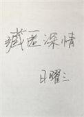 藏匿深情无弹窗