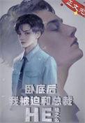 卧底成了二把手