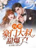 闪婚嫁豪门