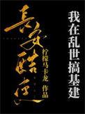 我在乱世做权臣by金2k网