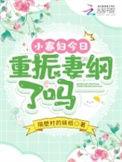 小寡妇再嫁的甜宠文