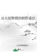 从夫郎赘婿到朝野重臣大结局