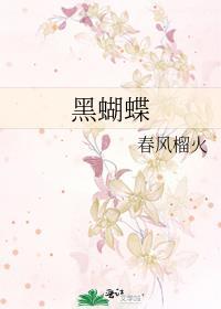 黑蝴蝶的故乡