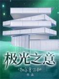极光之意讲什么的