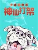 我真不想神仙打架
