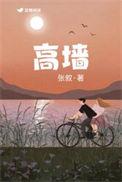 高墙 电视剧