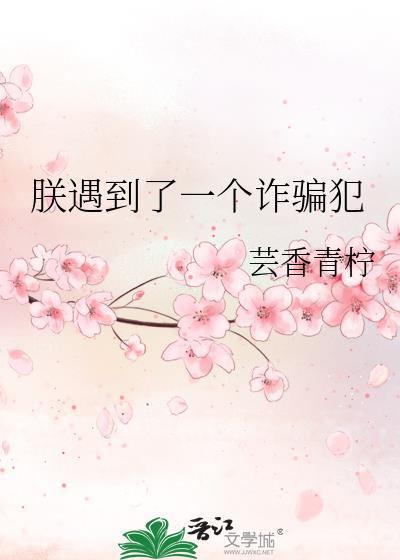 朕遇到了一个诈骗犯讲什么故事