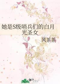 她是s级哨兵们的白月光圣女免费阅读33