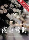 夜雪是干什么的