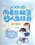 重生九零年代包房租婆txt