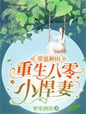 重生八零带着孩子虐渣渣