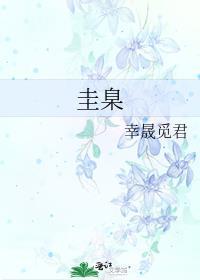 圭臬是什么意思