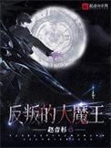 反叛的大魔王vip群番外