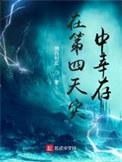 在第四天灾中幸存地图