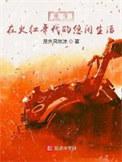 重生于火红年代1200章