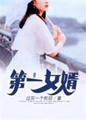 第一女婿陈枫叶青青