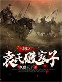 三国之袁式败家子