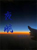 夜航西飞txt