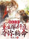 宠妾灭妻的重生