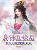 将军和将军夫人互换灵魂的
