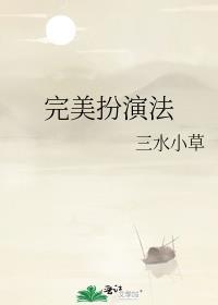 完美专业扮演