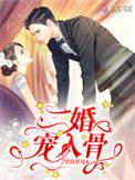 二婚宠入骨苏禾冷