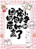 重生团宠七个哥哥风华