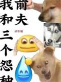 我和三个怨种前夫 作者妤芋