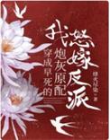 我怒嫁反派 吕颂梨
