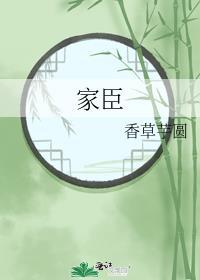 家臣by二氧化太免费阅读