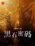黑石密码的故事梗概
