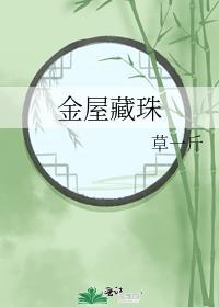 金屋藏珠全文阅读笔趣阁