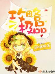 攻略极品全文阋读