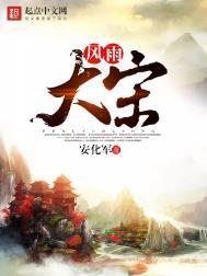 风雨大宋改名后叫什么