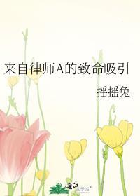 来自律师A的致命吸引讲什么