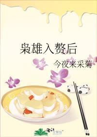 枭雄入赘后讲什么故事