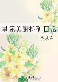 星际美厨娘免费