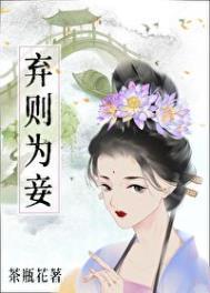 弃则为妾作者茶瓶花
