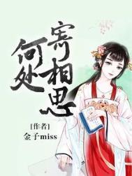 梅花何处寄相思