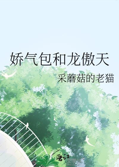 娇气包是什么