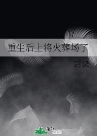 后重生上将大人