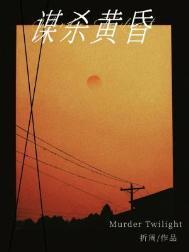 谋杀黄昏讲的什么