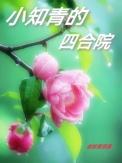 小知青的四合院_金秋麦浪