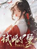 试婚丫鬟结局