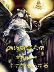 满级大佬去新手村的