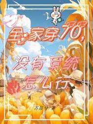 全家穿越去七零