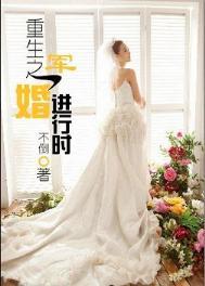 重生之军婚系列