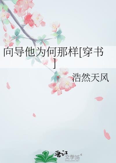 向导他为何那样穿书