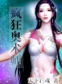 疯狂奥术师加料版免费阅读全文